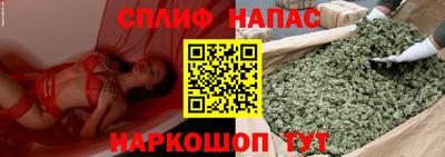 гашик Нягань