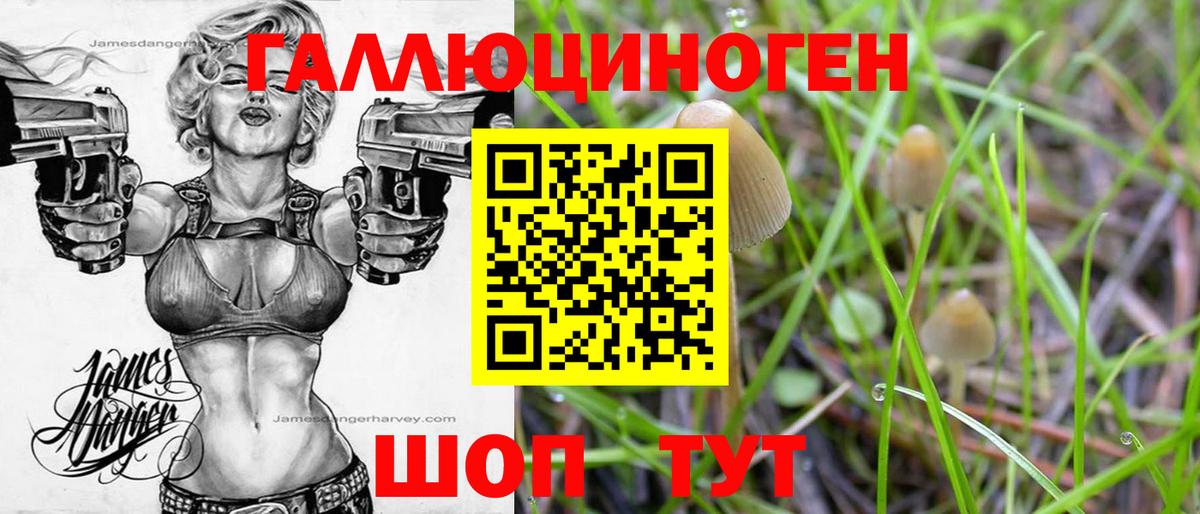 Псилоцибиновые грибы прущие грибы  Вход с VPN  Сорочинск 
